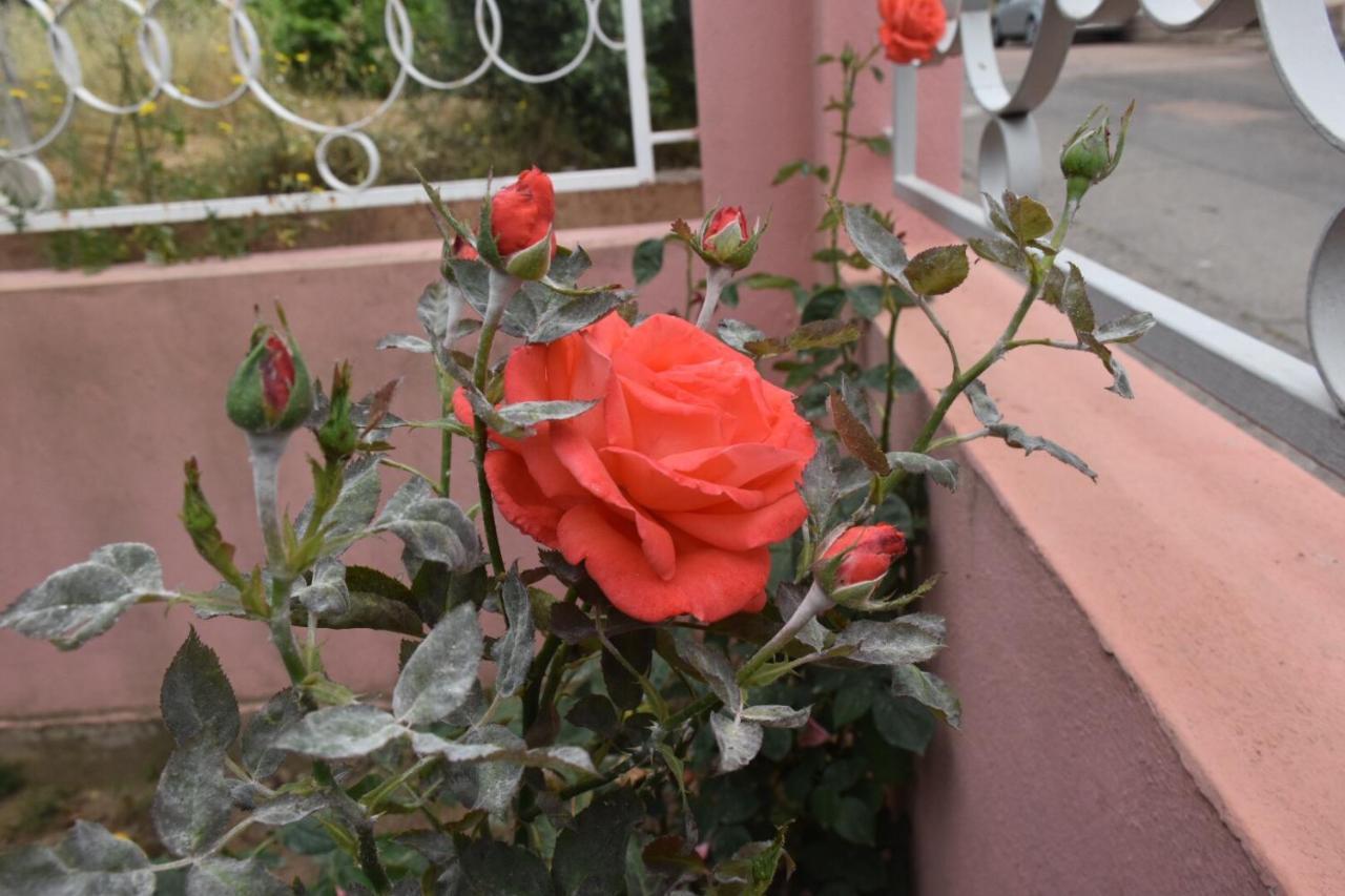 Sa Mariposa Bed & Breakfast Muravera Exterior photo