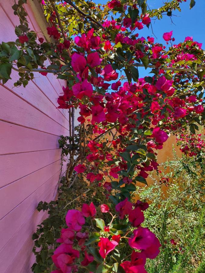 Sa Mariposa Bed & Breakfast Muravera Exterior photo